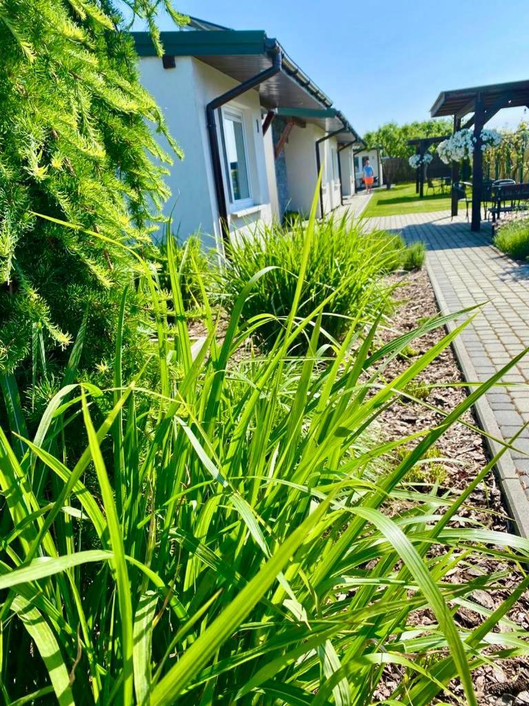 Zielone Zacisze Villa Uniejów Eksteriør billede